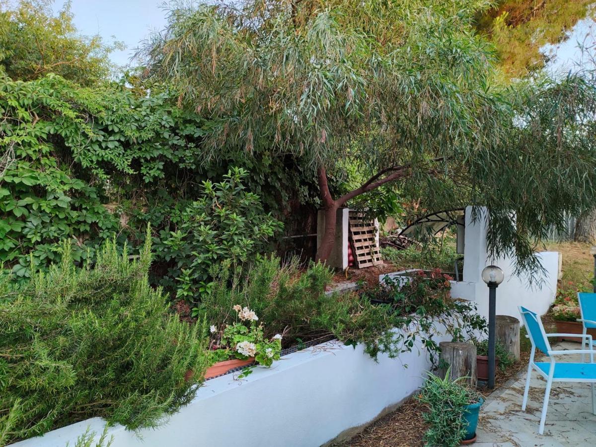 Filoxenia Di Umberto Pension Sassari Buitenkant foto