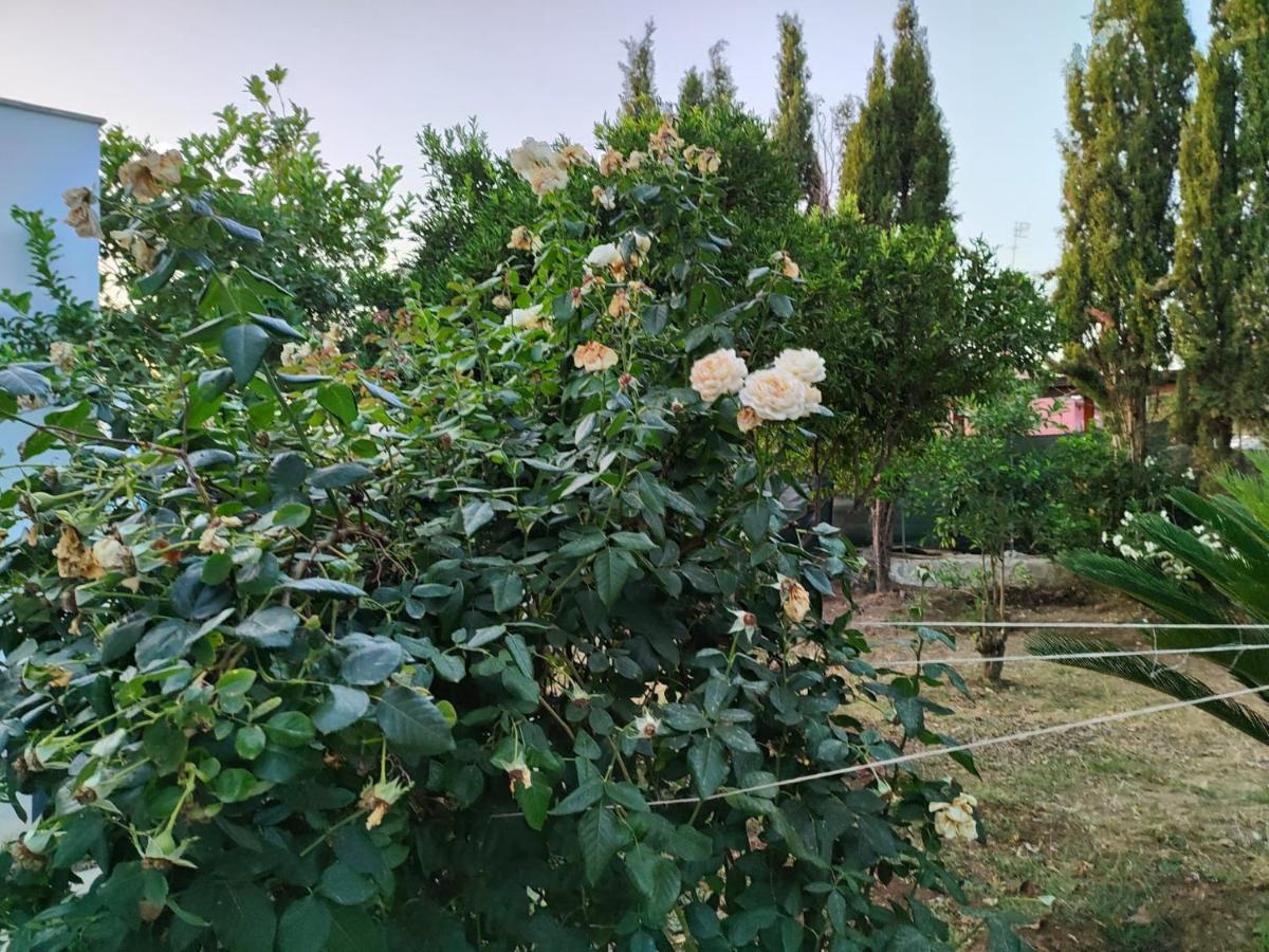 Filoxenia Di Umberto Pension Sassari Buitenkant foto