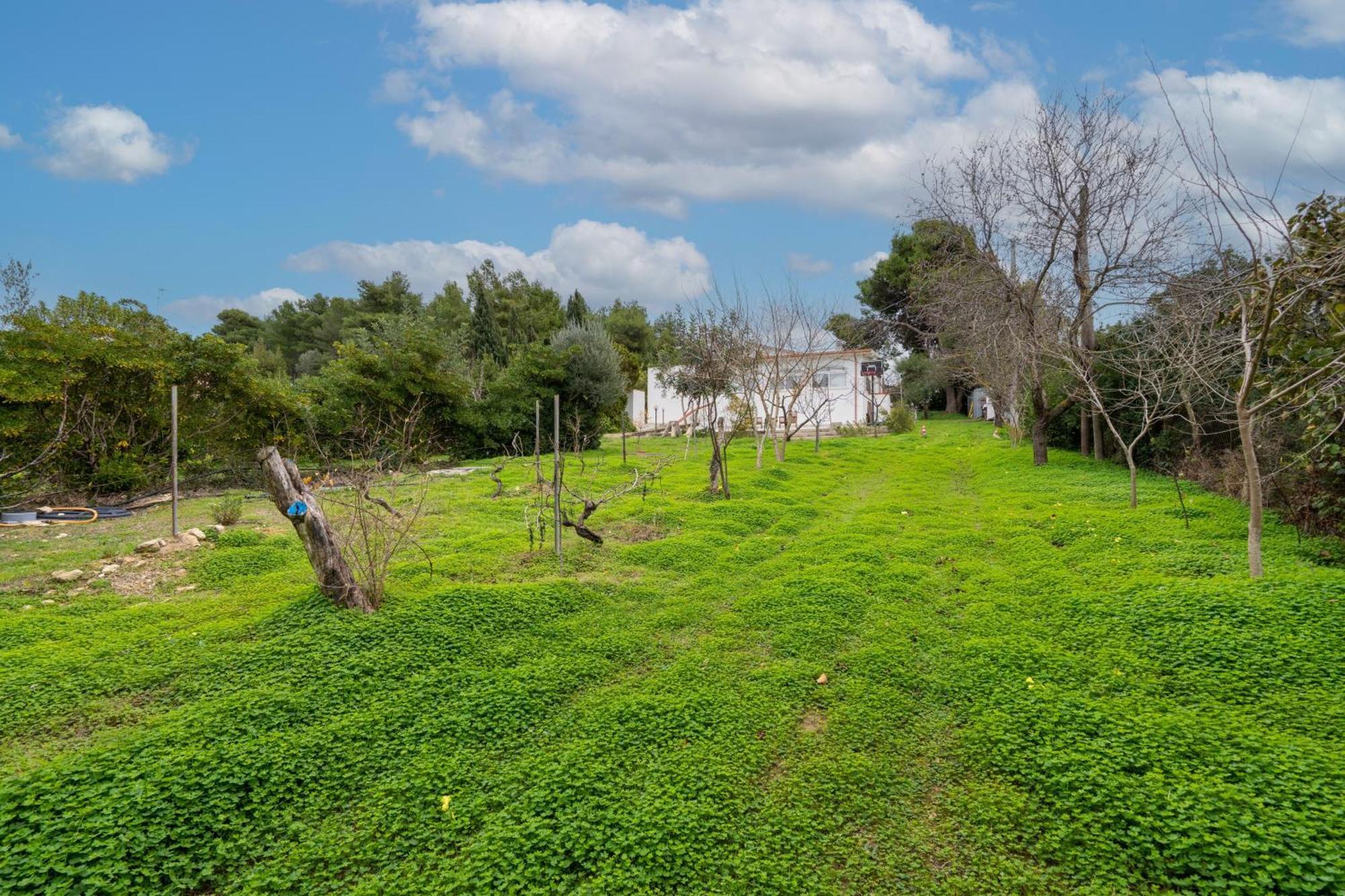 Filoxenia Di Umberto Pension Sassari Buitenkant foto